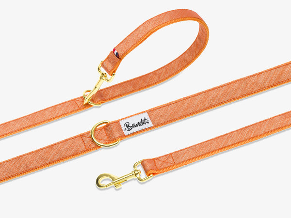 Laisse pour chien Cross-Body