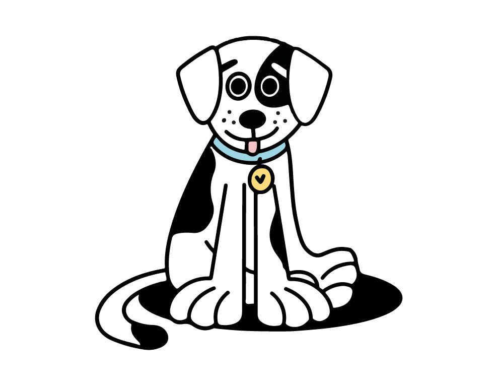 Collier pour chien