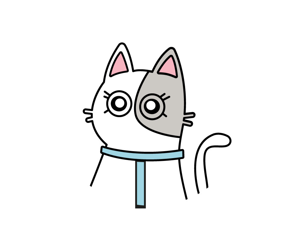 Harnais pour chat