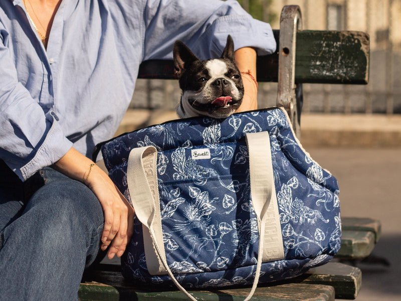 SAC DE TRANSPORT