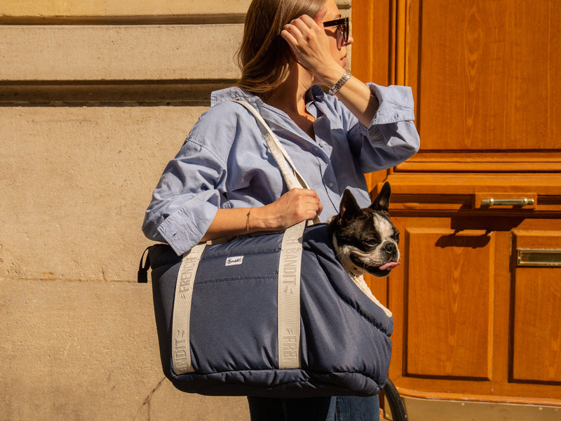 SAC DE TRANSPORT