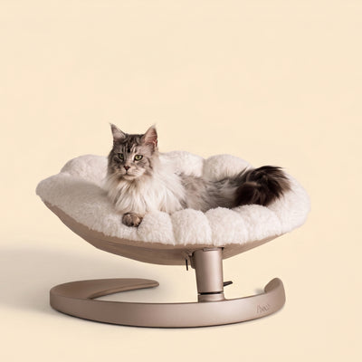 Fauteuil suspendu pour animaux Shell Tavo