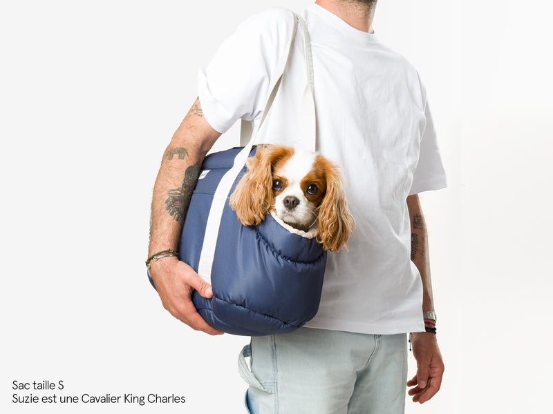 Sac de transport pour chien  Sac transport chien, Transport pour chien, Sac  de transport