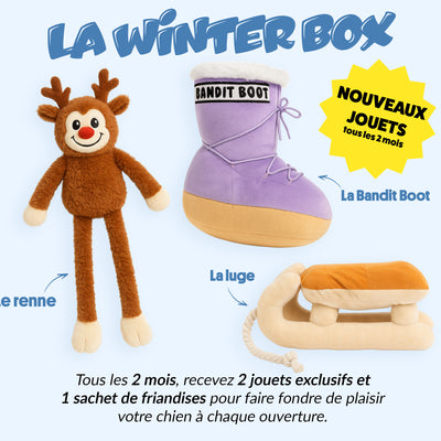 Box jouet pour chien – 2 jouets exclusifs + friandises