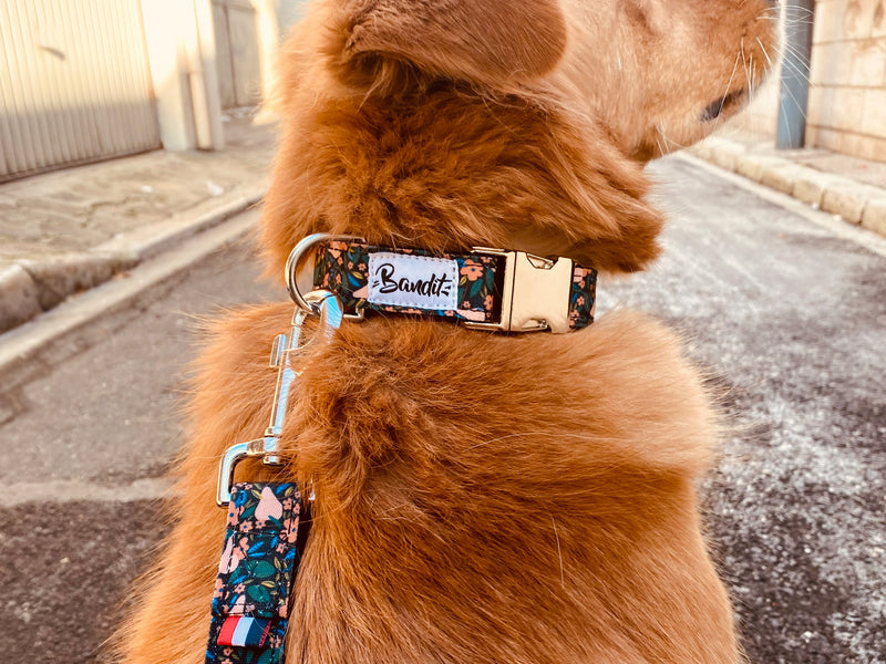 Collier pour chien motif fleuri 1