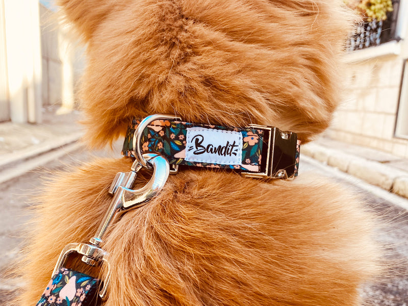 Collier pour chien motif fleuri 3