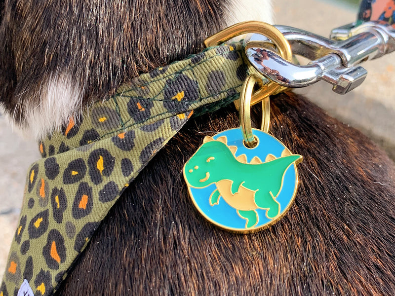 Médaille dinosaure pour chien 2