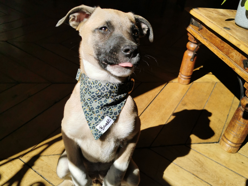 Bandana pour chien léopard vert 3
