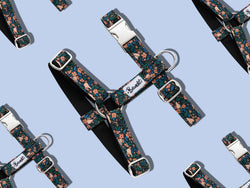 Harnais pour chien motif fleuri 1