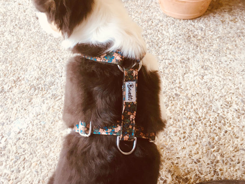Harnais pour chien motif fleuri 5