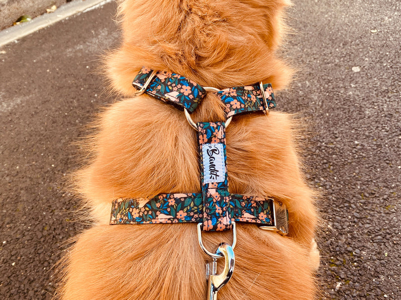 Harnais pour chien motif fleuri 4
