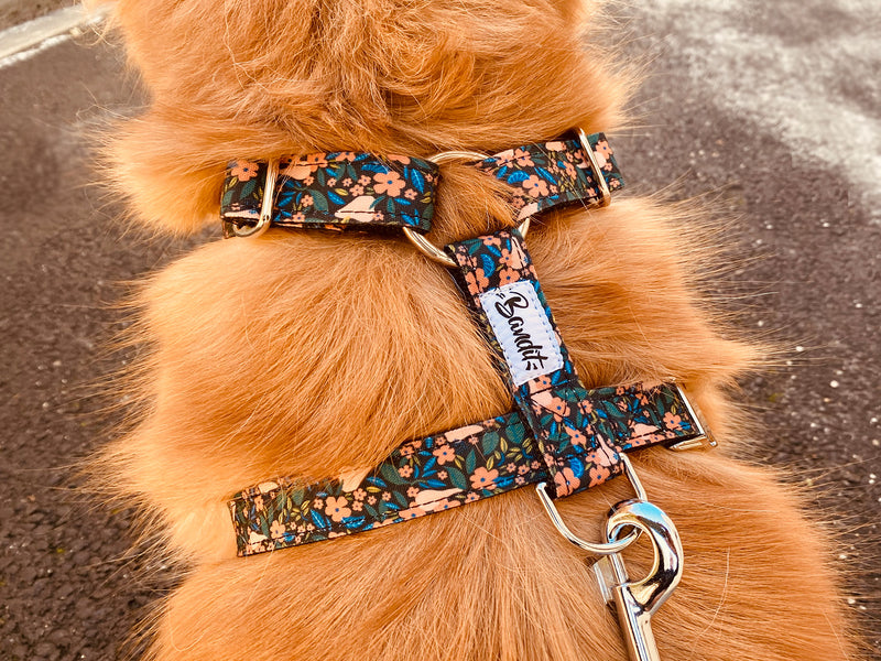 Harnais pour chien motif fleuri 2