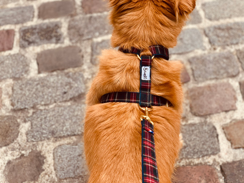 Harnais pour chien tartan 2