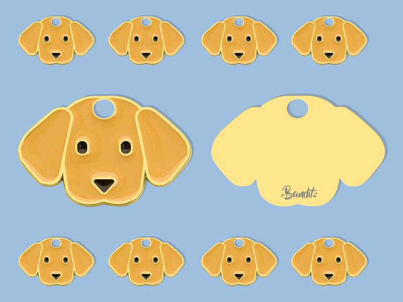 Médaille labrador pour chien 3