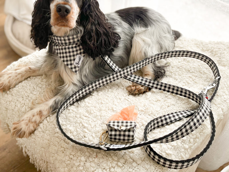 Laisse pour petit chien. Laisse de style Navajo. Laisse pour chien. Laisse  pour chien du sud-ouest. Laisse brodée. Laisse en cuir. -  France