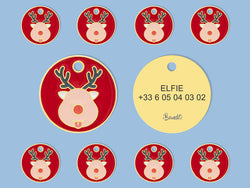 RUDOLF
