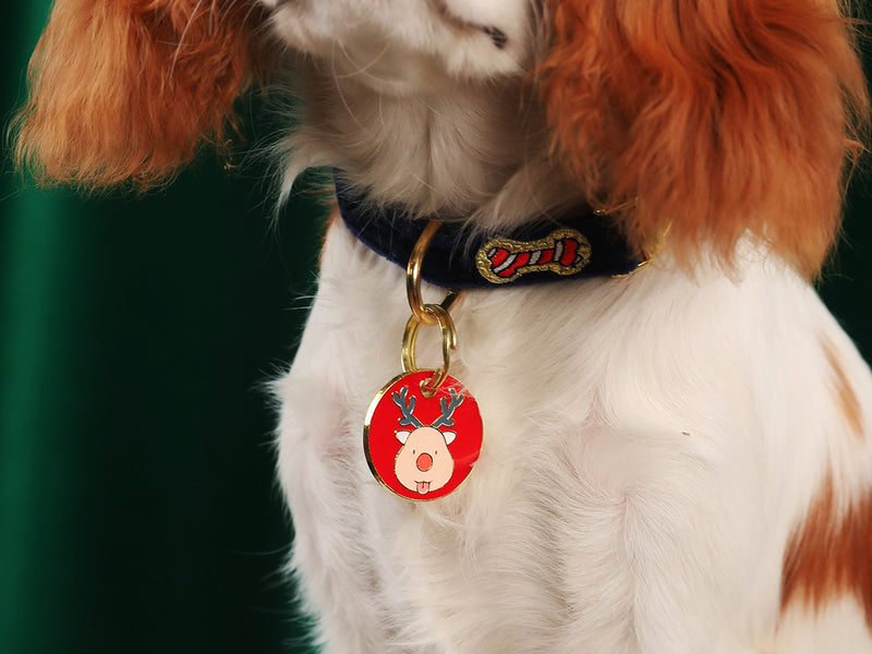RUDOLF