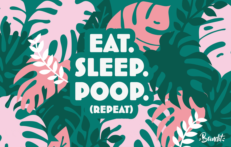 EAT SLEEP POOP