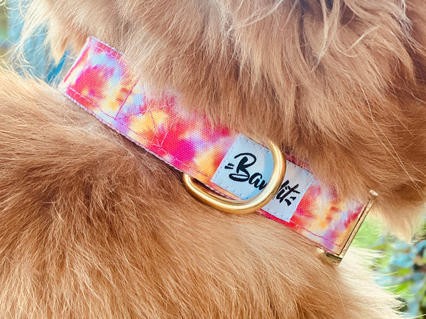 Collier pour chien tie and dye 1