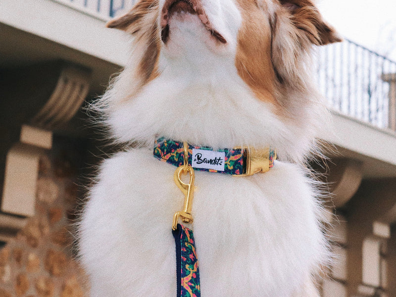 BOLLYWOOF