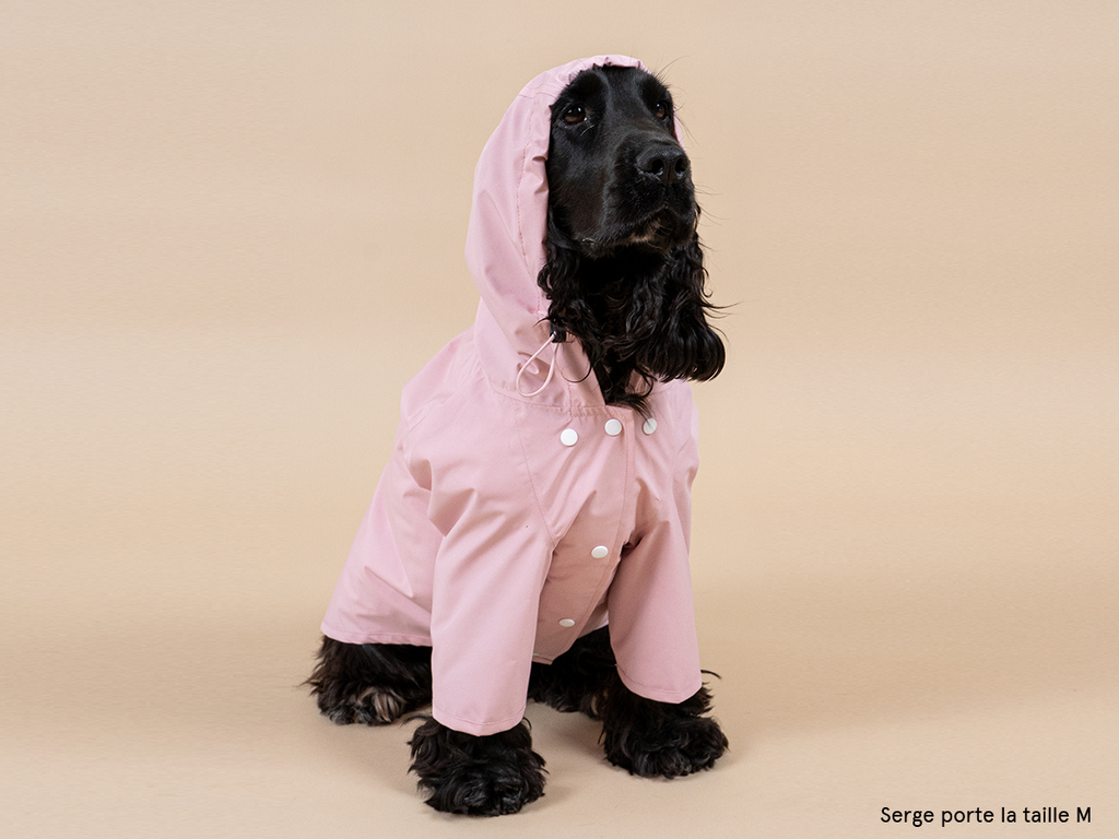 Imperméable pour 2025 cocker anglais