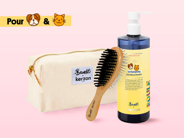 Shampoing + Brosse + Trousse