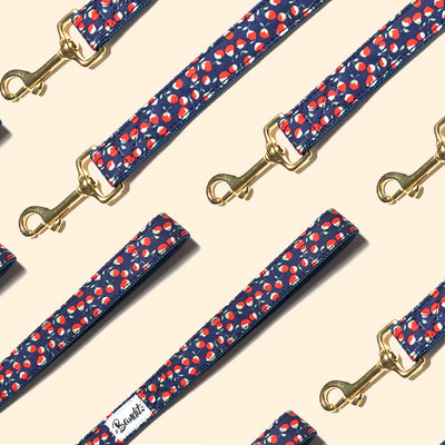 Laisse pour chien coquelicot 1