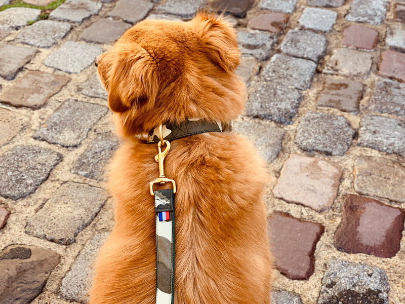 Collier pour chien motif militaire 1