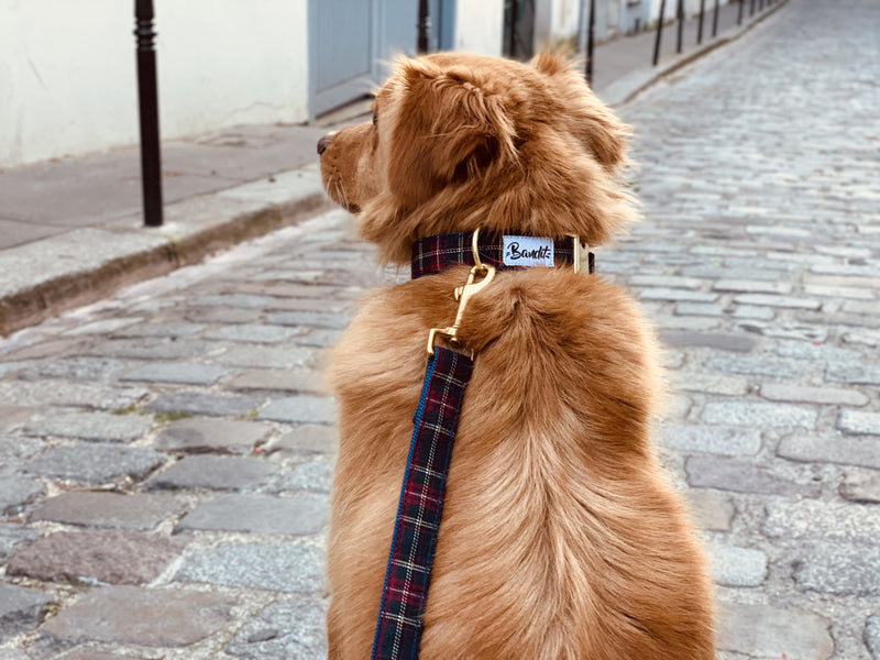 Laisse pour chien tartan 2