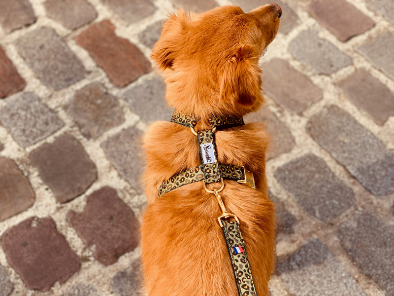  Harnais pour chien léopard vert 2