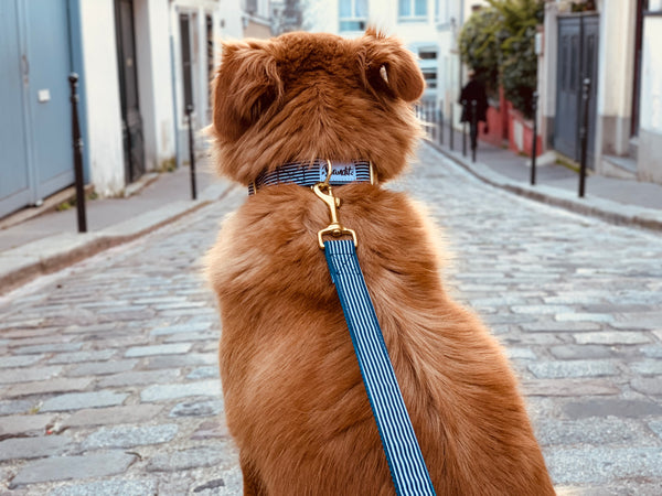 Accessoires pour chien – French Bandit