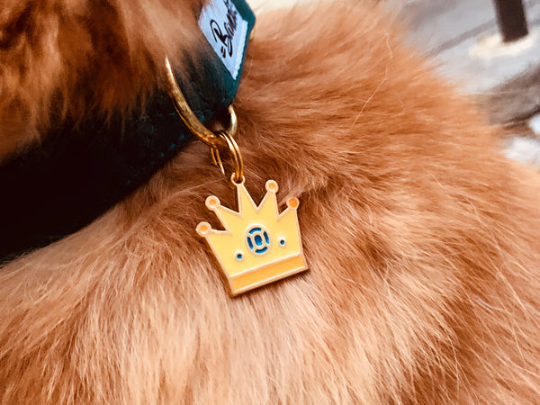 Médaille couronne pour chien 2