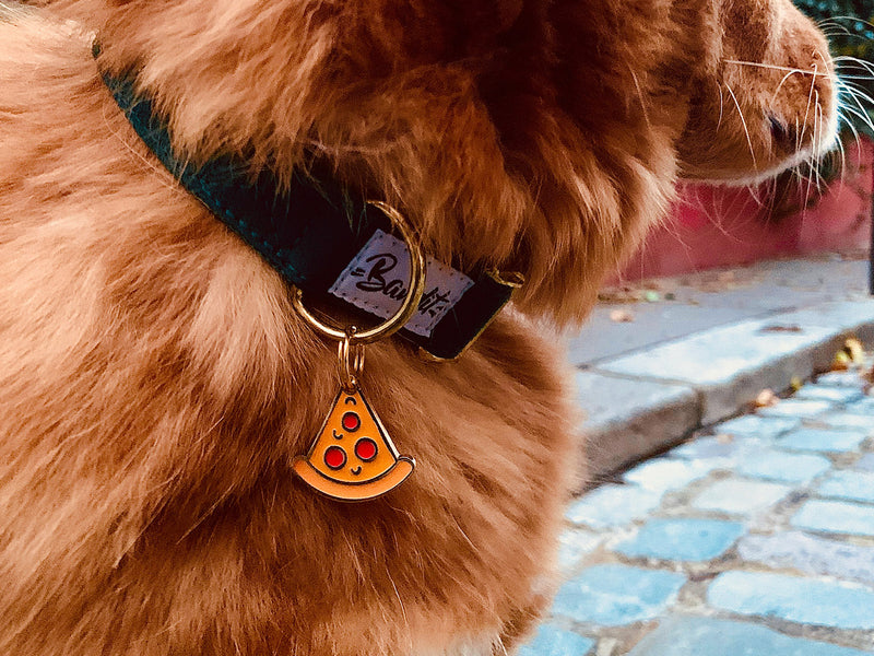 Médaille pizza pour chien 2
