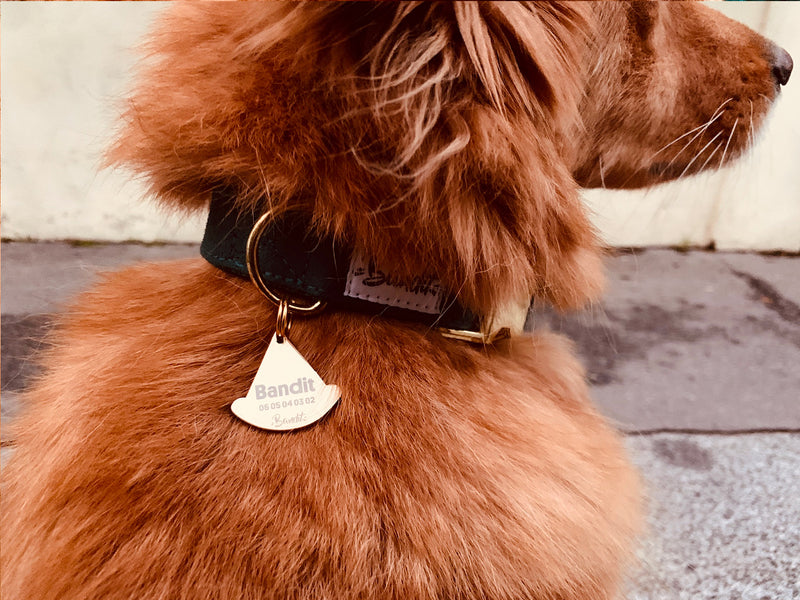 Médaille pizza pour chien 3