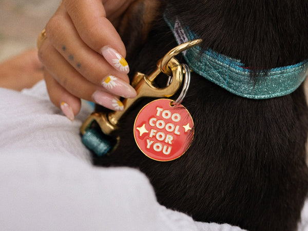 Médaille cool pour chien 2