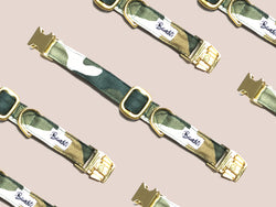 Collier pour chat motif militaire 1