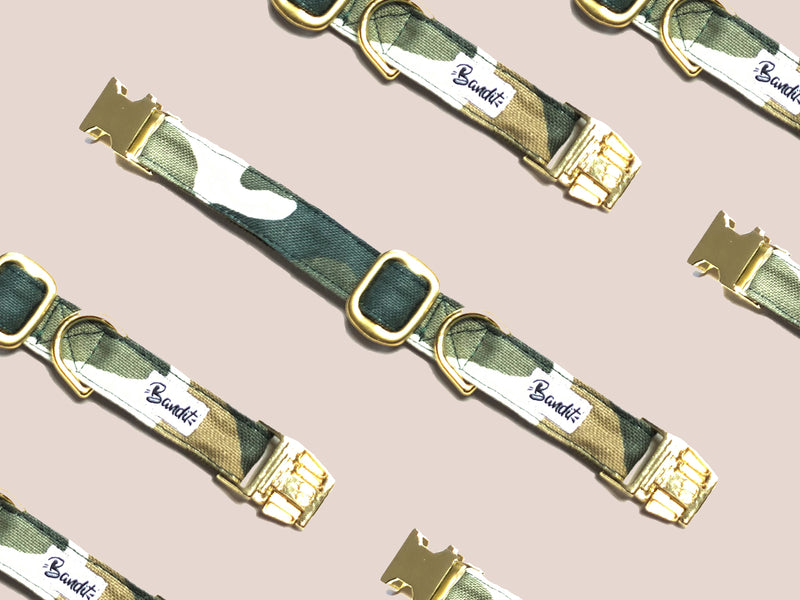 Collier pour chat motif militaire 1