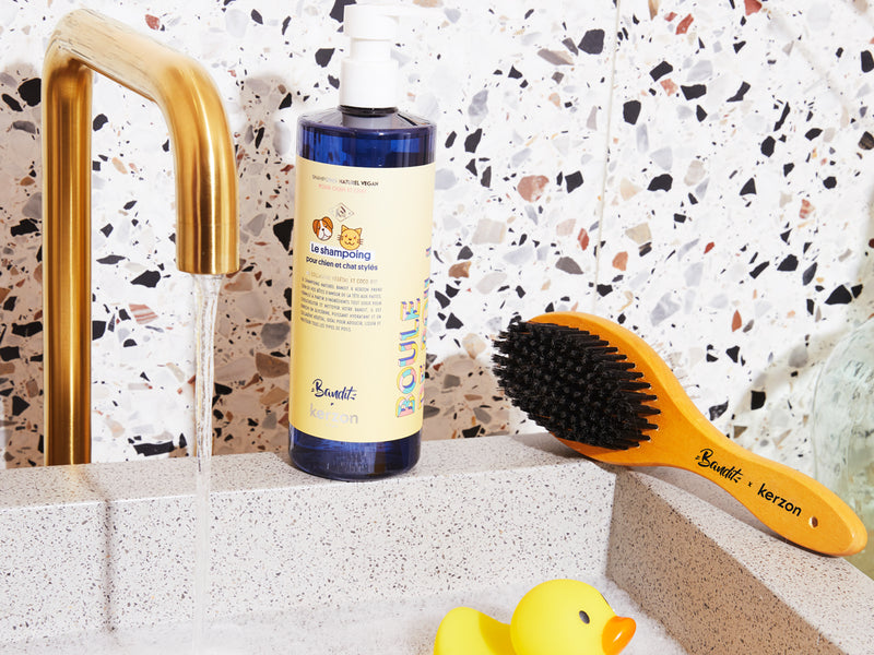 LA BROSSE EN BOIS