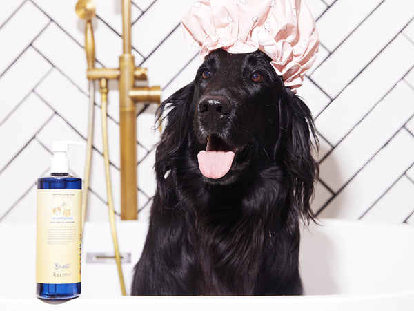 Shampoing pour chien et chat 1